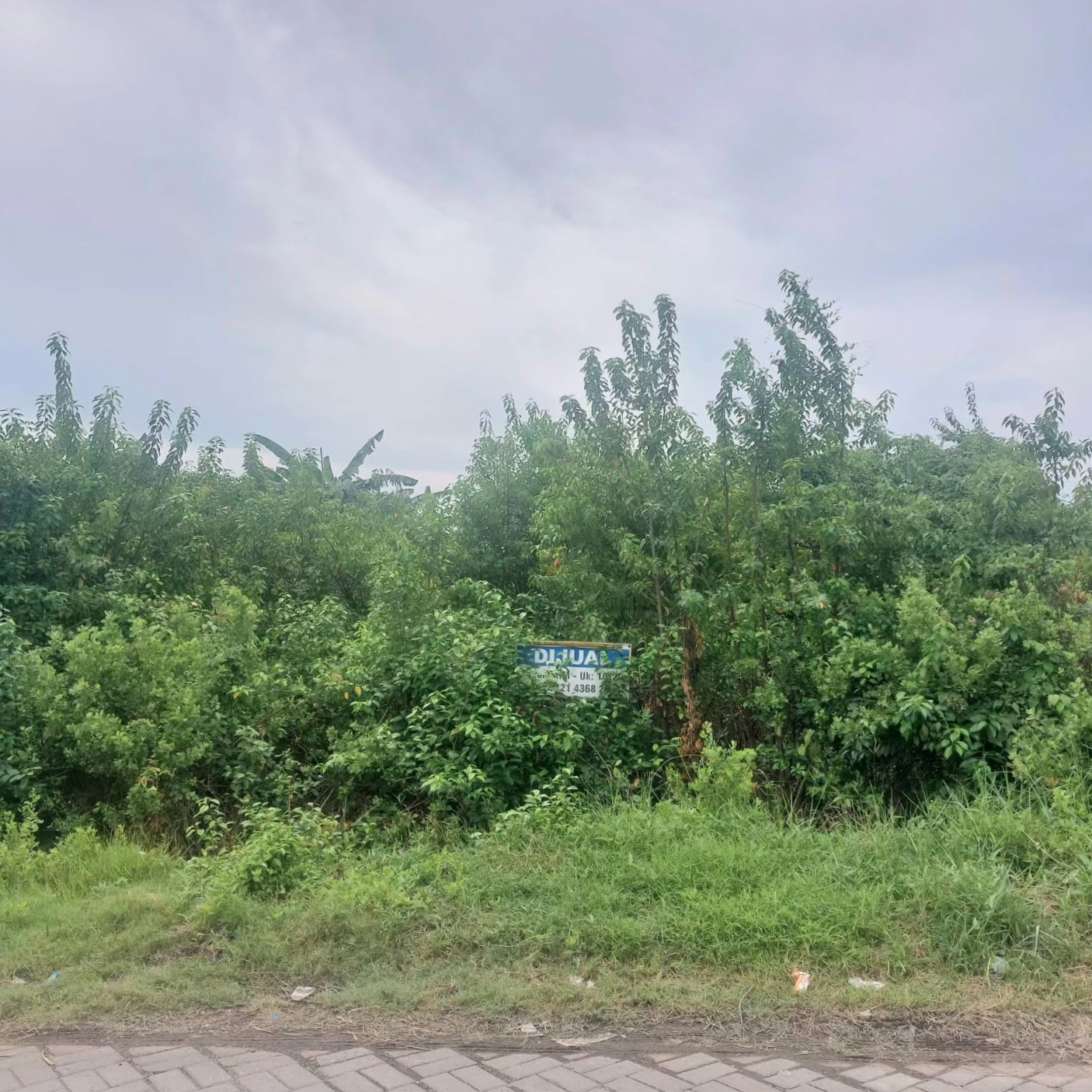 Gambar Properti