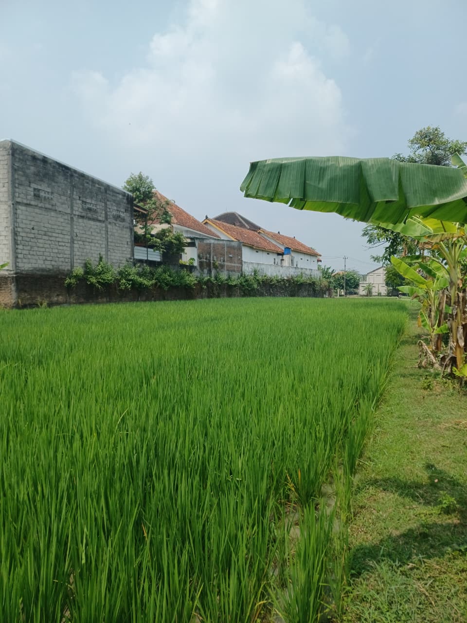 Gambar Properti