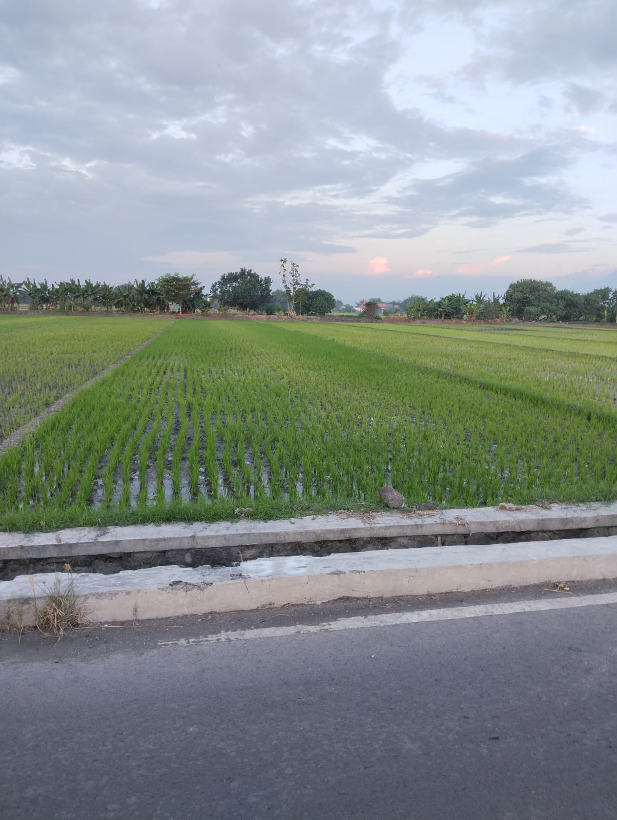 Gambar Properti